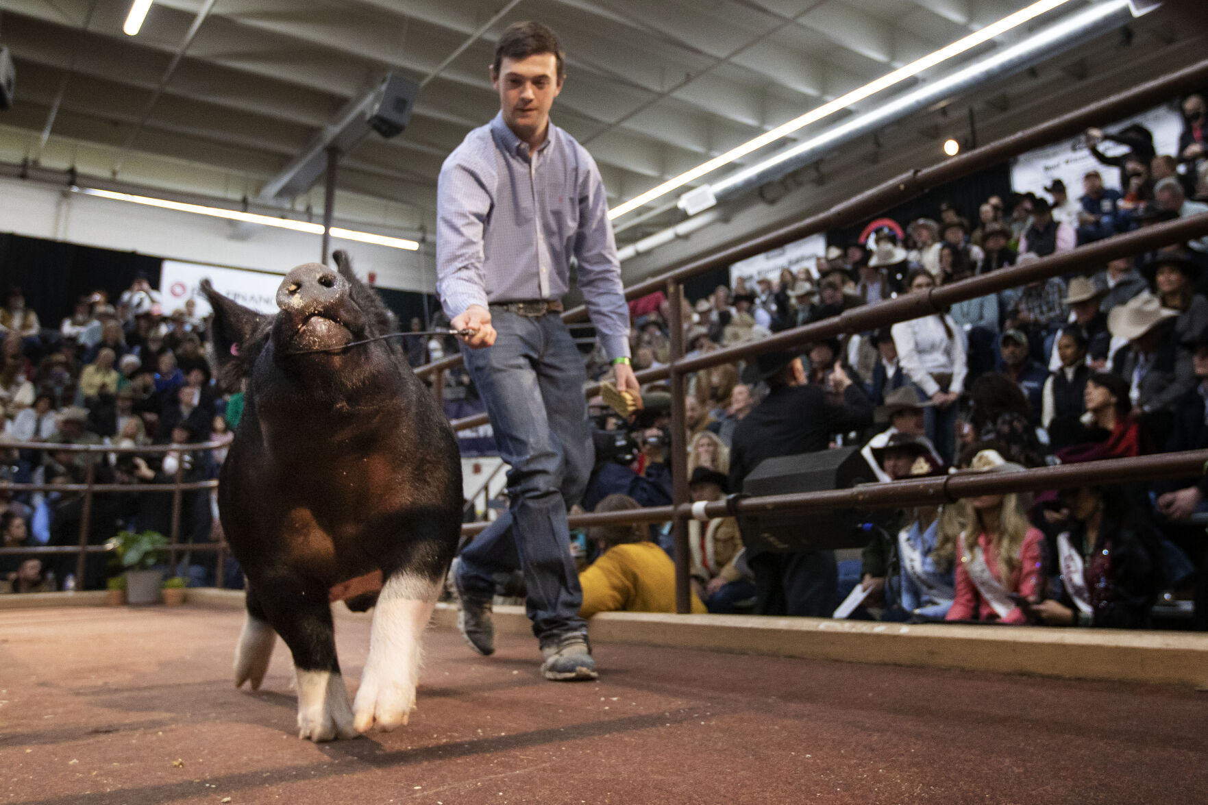 012222-news-JrLivestockAuction03.JPG